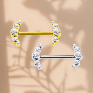 Piercing Téton Haendel