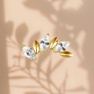 Piercing Tchaïkovski