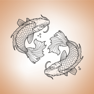 deux carpes Koi japonaises nageant en sens inverse, symbole d’équilibre, yin-yang et harmonie.